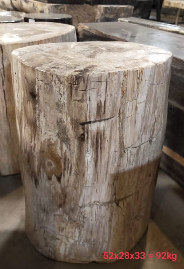 Fossil Tisch Beistelltisch Hocker Säule Versteinertes Holz Steintisch Naturstein Petrified wood