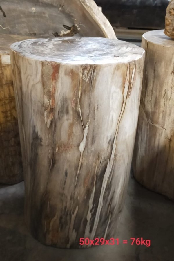 Fossil Tisch Beistelltisch Hocker Säule Versteinertes Holz Steintisch Naturstein Petrified wood